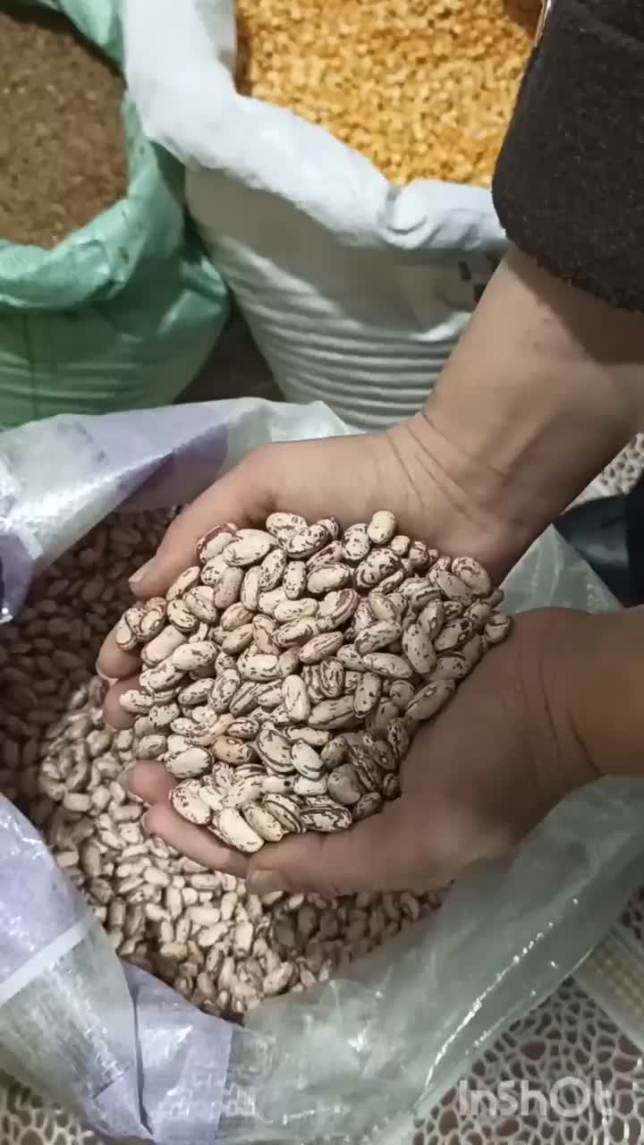 انواع لوبیا * چیتی سفید و رشتی و قرمز black Friday|خوردنی و آشامیدنی|بیرجند, |دیوار