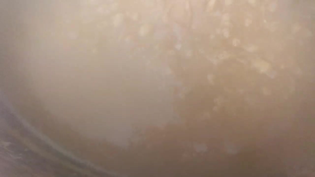 فروش|خوردنی و آشامیدنی|نقده, |دیوار