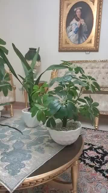 تعدادی گل مصنوعی|گل مصنوعی|تهران, هروی|دیوار
