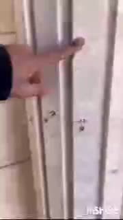 پیچ رولپلاک نما و نماشویی بدون داربست با طناب|خدمات پیشه و مهارت|ابهر, |دیوار