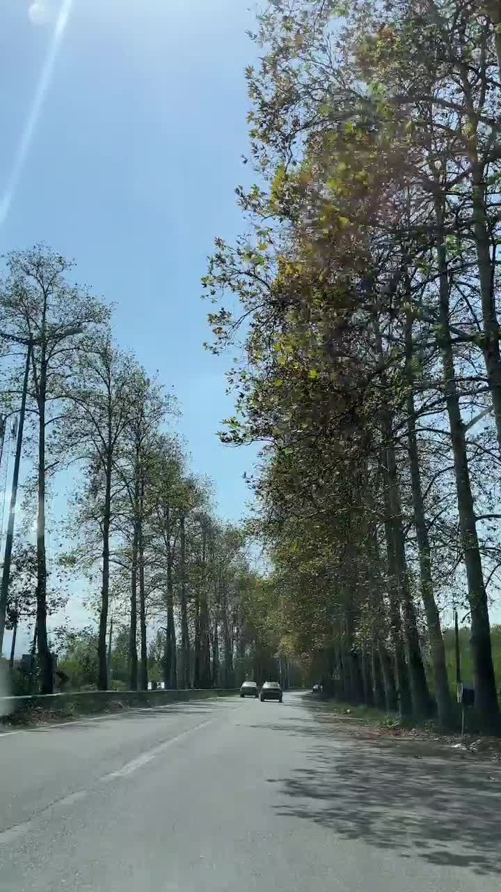 عکاسی تخصصی کودک و خانواده فضای باز|خدمات پذیرایی، مراسم|رشت, معلم|دیوار