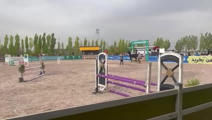 اسب تربیت...اسب|اسب و تجهیزات اسبسواری|قم, پردیسان|دیوار