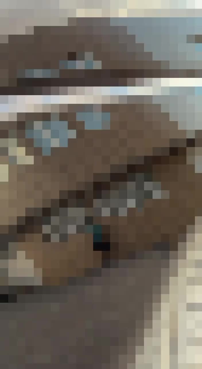 ماشین|خودرو سواری و وانت|تربت جام, پاسداران|دیوار