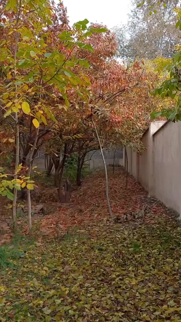 فروش یا معاوضه باغ با آپارتمان نوساز منطقه ۱ الی ۳|فروش زمین و ملک کلنگی|کرج, کلاک نو|دیوار