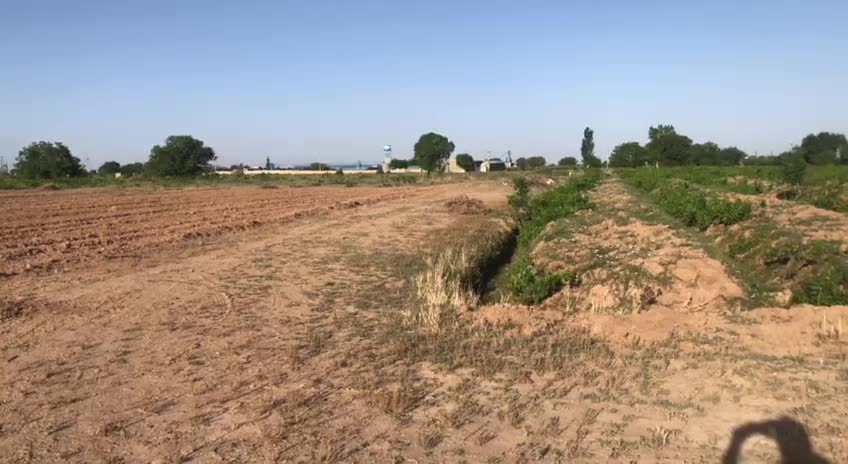 باغ انگور|فروش دفتر صنعتی، کشاورزی، تجاری|تاکستان, |دیوار