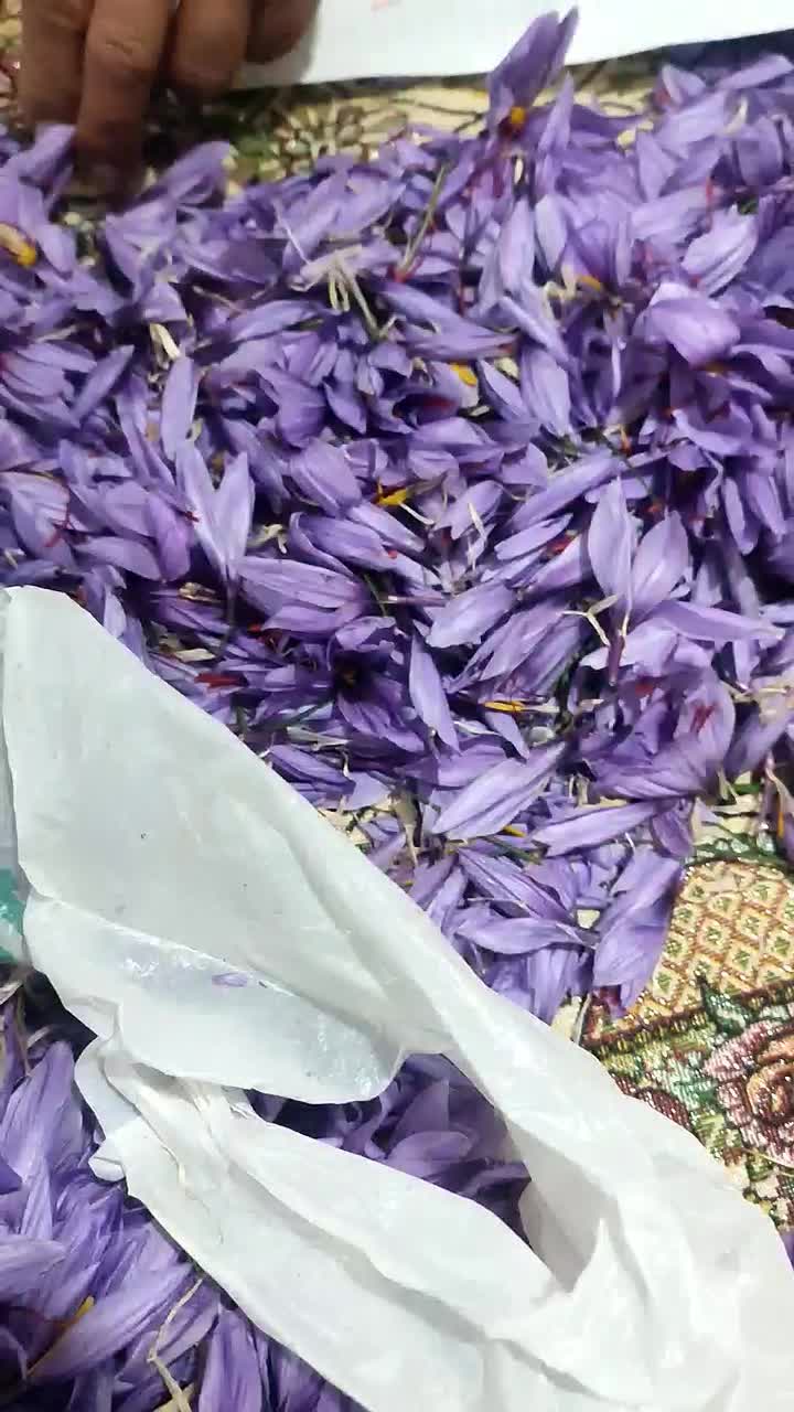 زعفران لرستان عیار 420 گرید A+|خوردنی و آشامیدنی|تهران, منیریه|دیوار