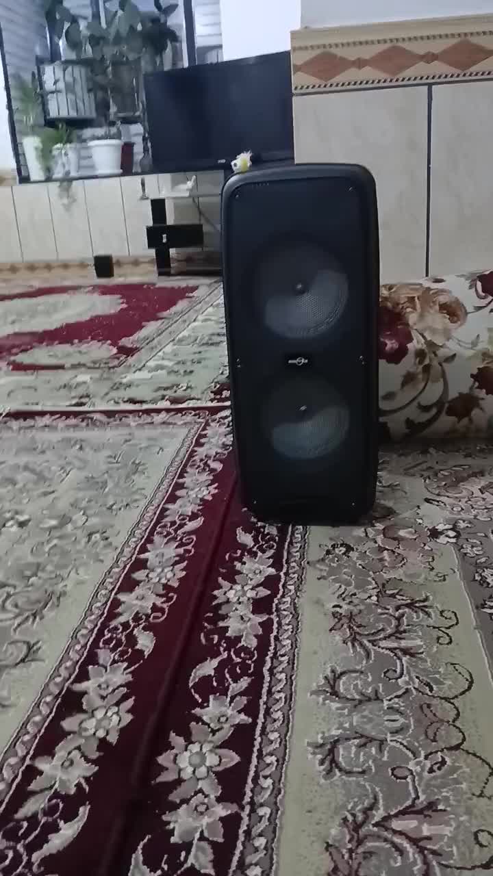 اسپیکر GTS-1625|سیستم صوتی خانگی|کازرون, |دیوار