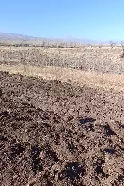 سلام یه بز جوان واسه قربانی|حیوانات مزرعه|فیرورق, |دیوار