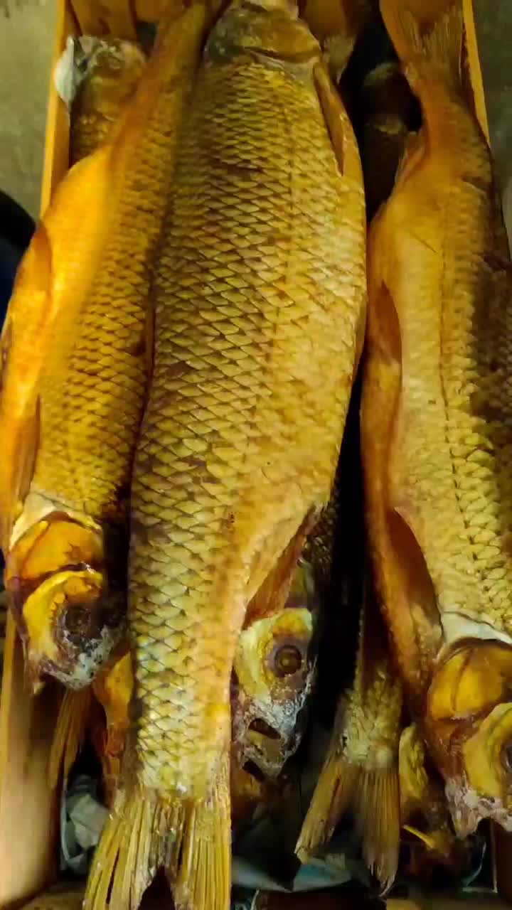انواع ماهی سفید دودی لوکس|خوردنی و آشامیدنی|رشت, پیرسرا|دیوار