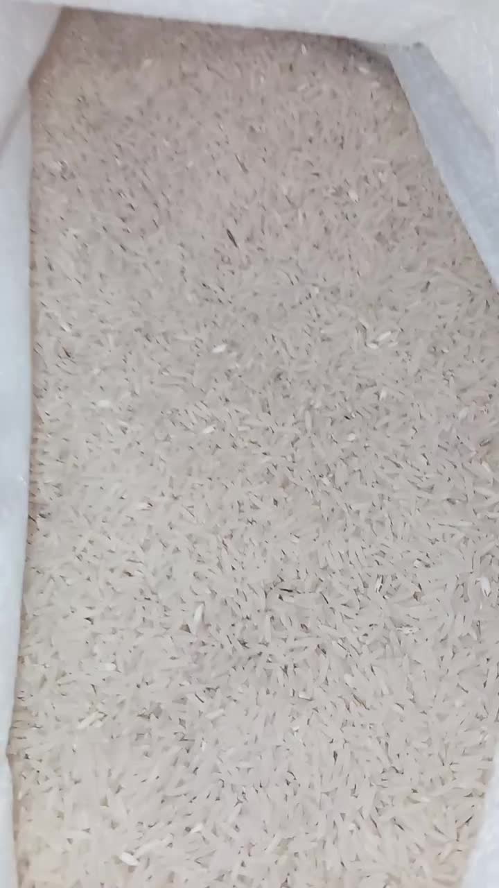 برنج فجر سوزنی درجه یک|خوردنی و آشامیدنی|گرگان, |دیوار