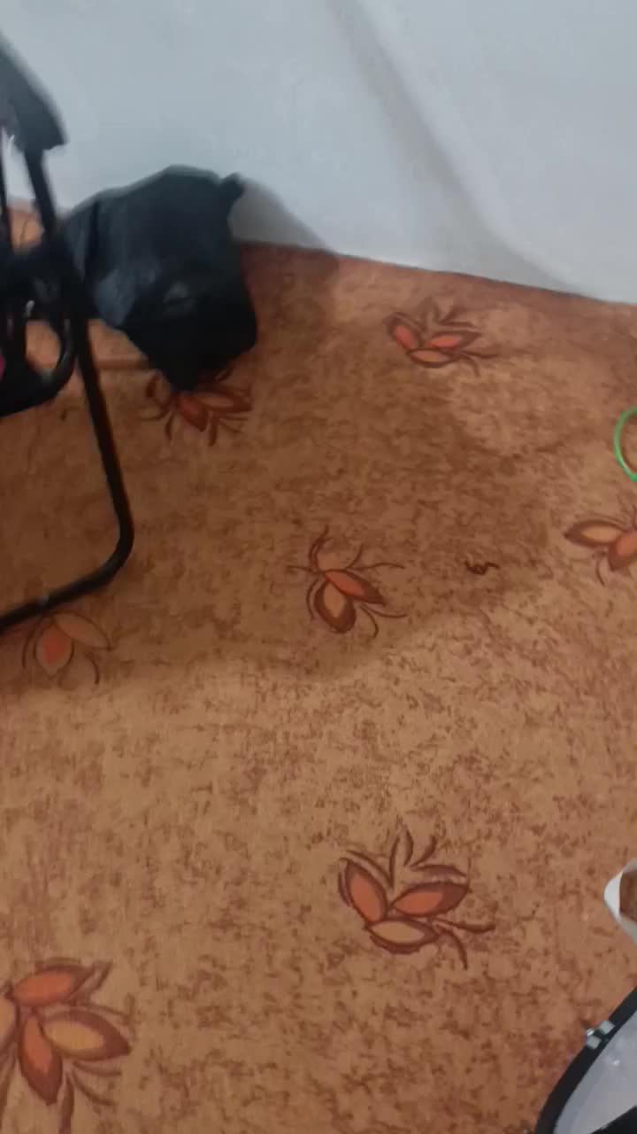 طبل|درام و پرکاشن|اسدآباد, |دیوار