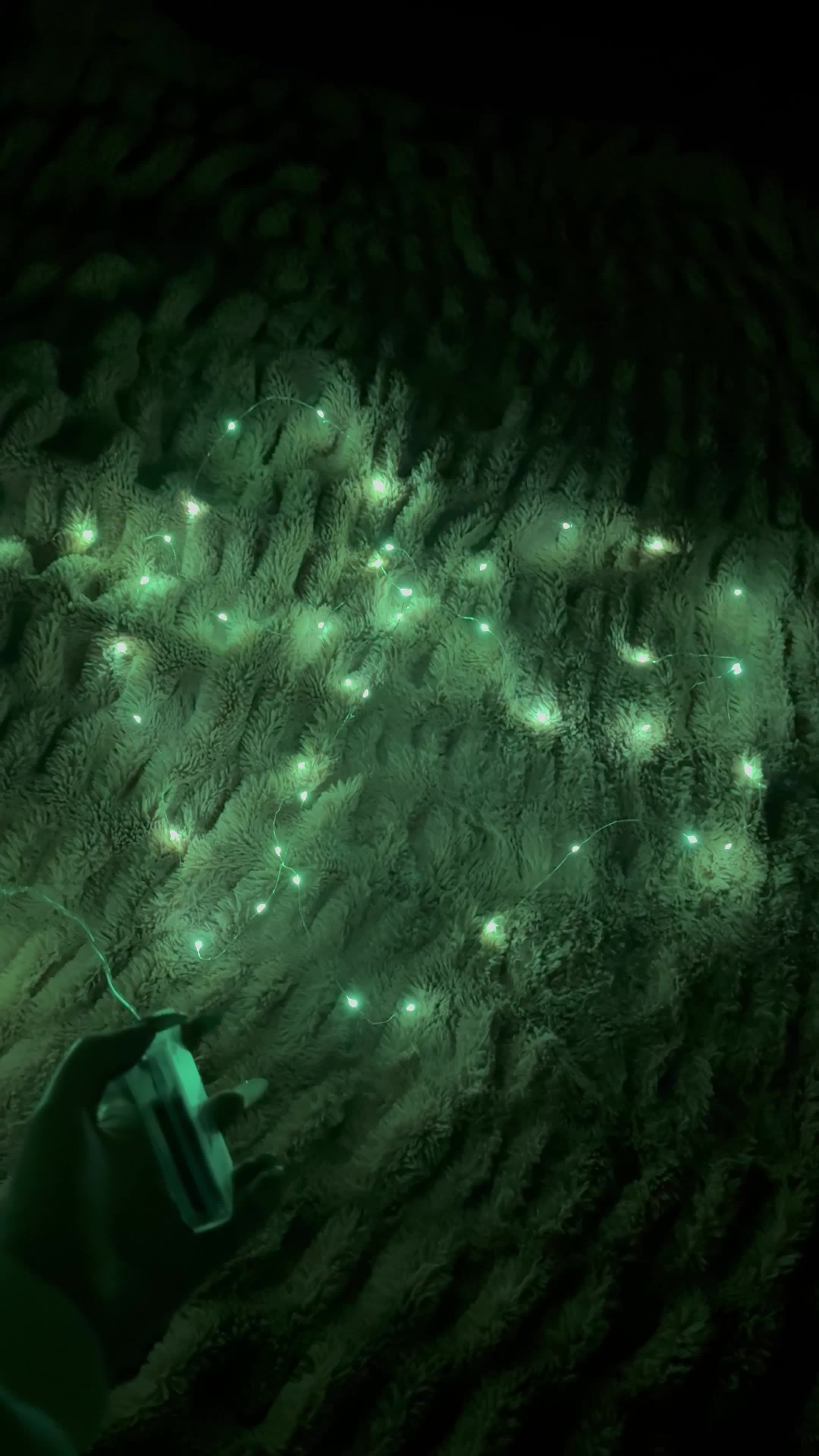 ریسه|ریسه و چراغ تزئینی|کرج, عظیمیه|دیوار