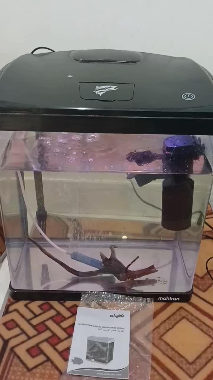 آکواریوم ماهیران|ماهی|رشت, حمیدیان|دیوار