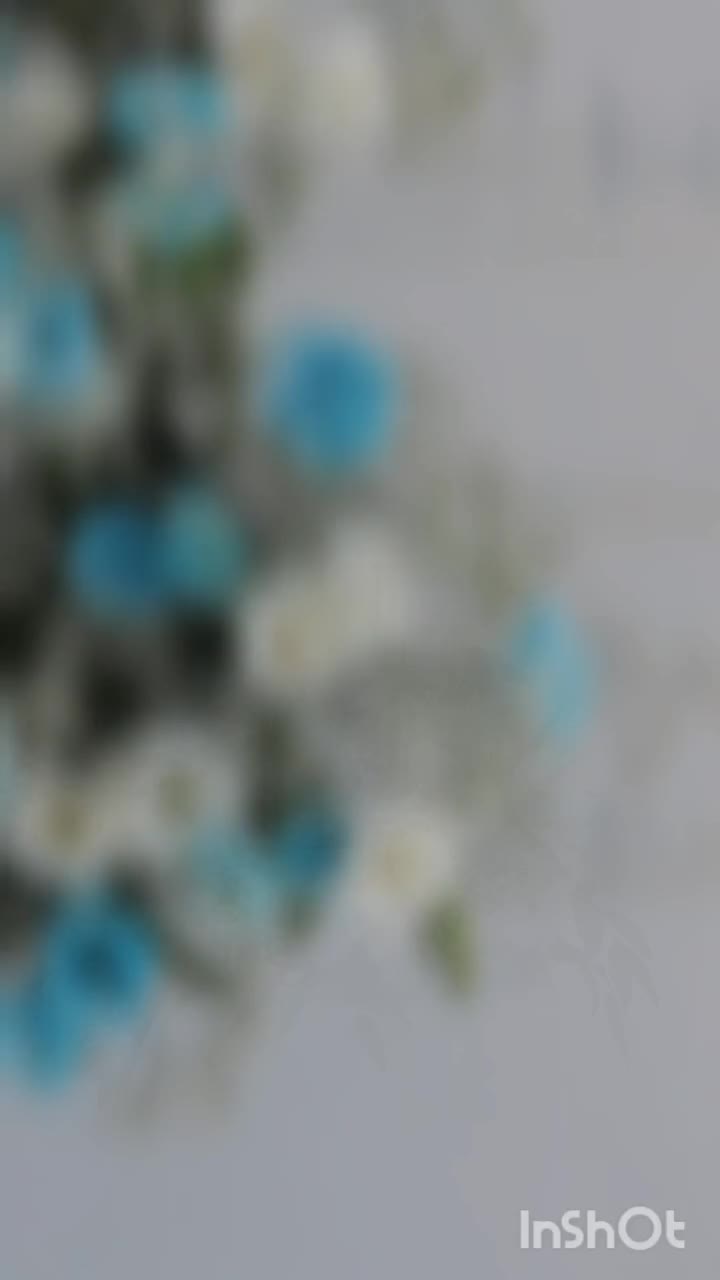 گل آرایی،ماشین عروس،دسته گل،تاج‌گل،بادکنک آرایی|خدمات پذیرایی، مراسم|اصفهان, حسین‌آباد|دیوار