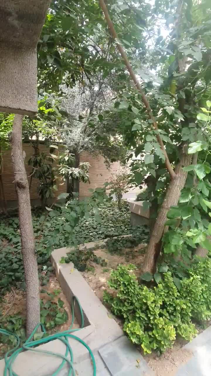 ۳ خوابه ۳۱۵ متری کلید نخورده لوکس|فروش آپارتمان|شیراز, محمودیه|دیوار