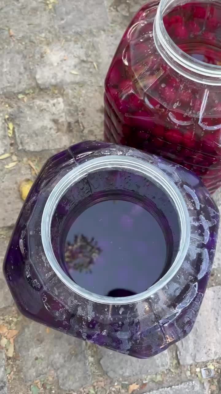 زیتون|خوردنی و آشامیدنی|رشت, آتشگاه|دیوار