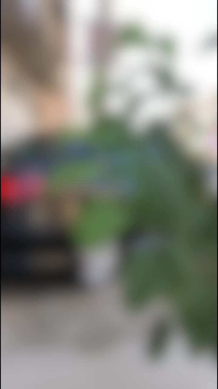 206 sd v8|خودرو سواری و وانت|ارومیه, |دیوار
