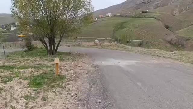 فروش زمین ۵۰۰ متر|فروش زمین و ملک کلنگی|طالقان, |دیوار