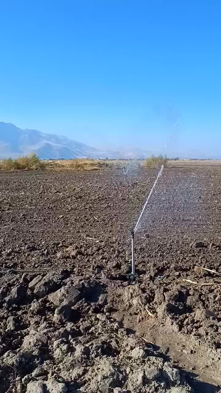 اجاره زمین کشاورزی|اجارهٔ دفتر صنعتی، کشاورزی، تجاری|شیروان (لرستان), |دیوار