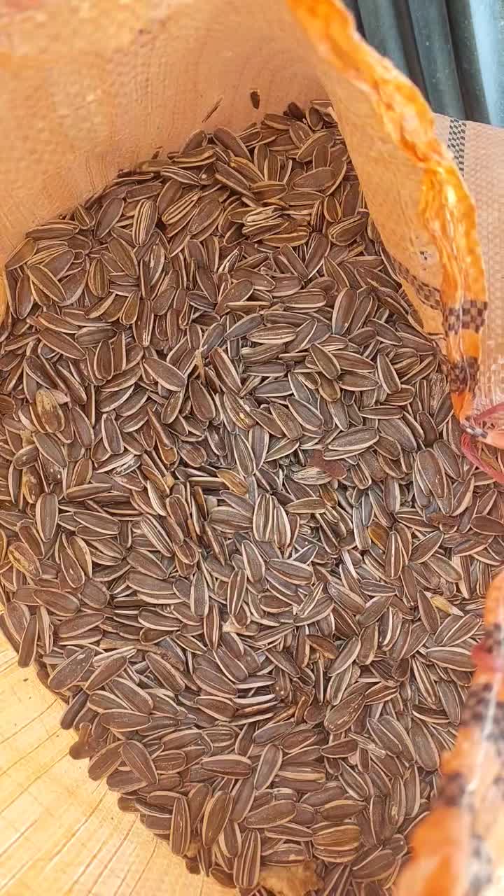 تخمه افتابگردان s۴۰۰|عمدهفروشی|ماکو, |دیوار