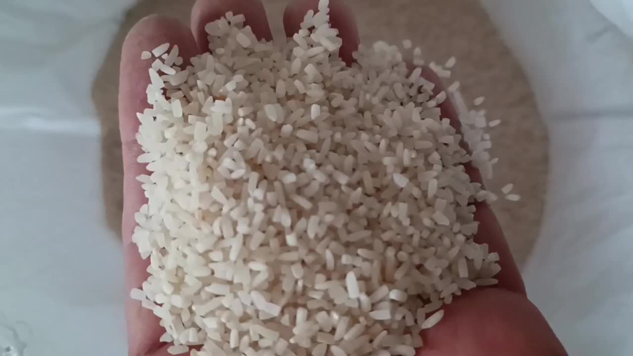 سرلاشه درشت|خوردنی و آشامیدنی|تهران, شهید بهشتی|دیوار
