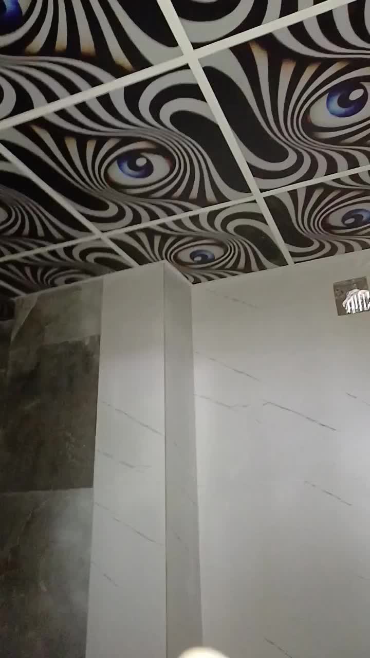 سقف استخر و سقف لمبه و سقف شبکه|خدمات پیشه و مهارت|تنکابن, |دیوار