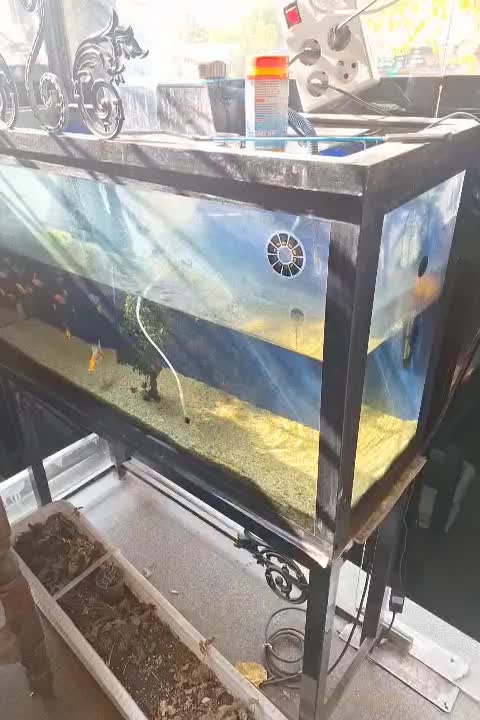 آکواریوم روشن با ماهی|ماهی|تهران, علم و صنعت|دیوار