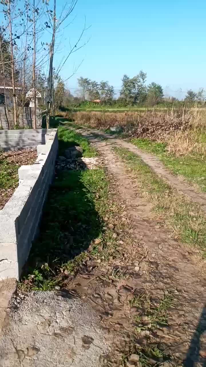 زمین مسکونی بنایی نمیکاره کل زمین ۱۸۳۰متر|فروش زمین و ملک کلنگی|رشت, حومه رشت|دیوار