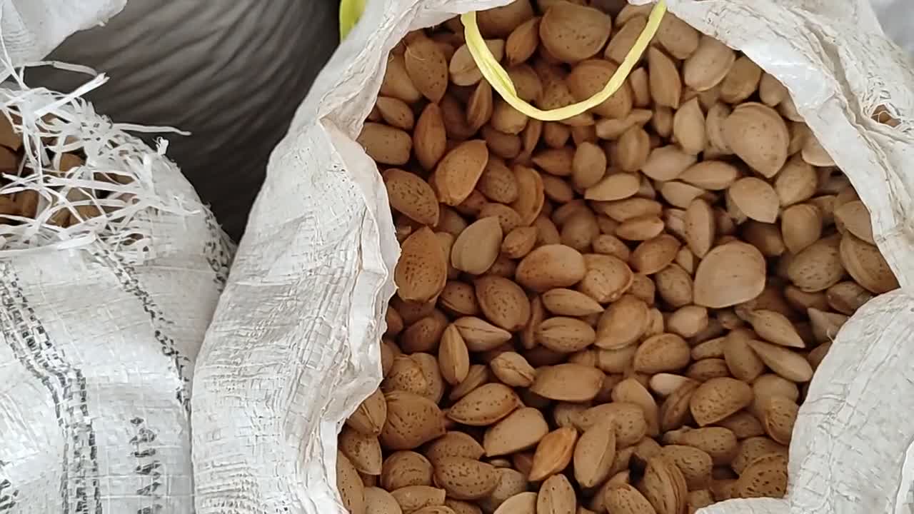 بادام سنگی ایرانی مخلوط خشکبار قدوس|خوردنی و آشامیدنی|بوانات, |دیوار