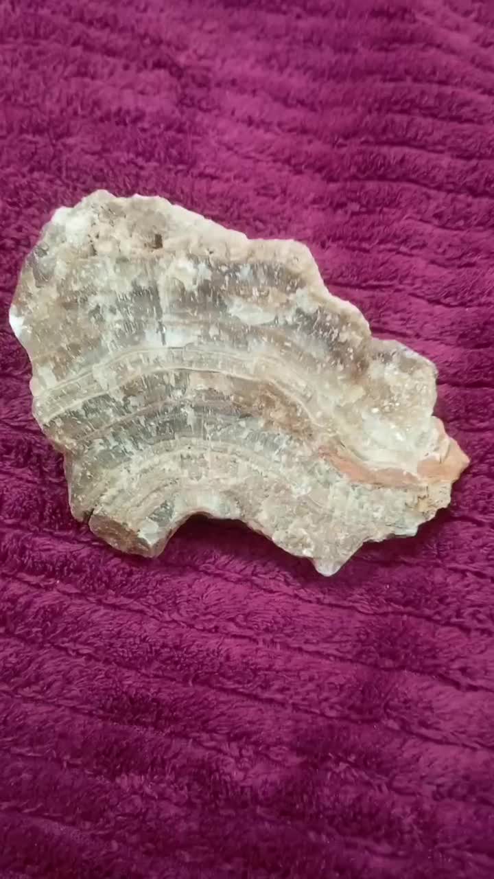 عقیق|زیورآلات و اکسسوری|گالیکش, |دیوار