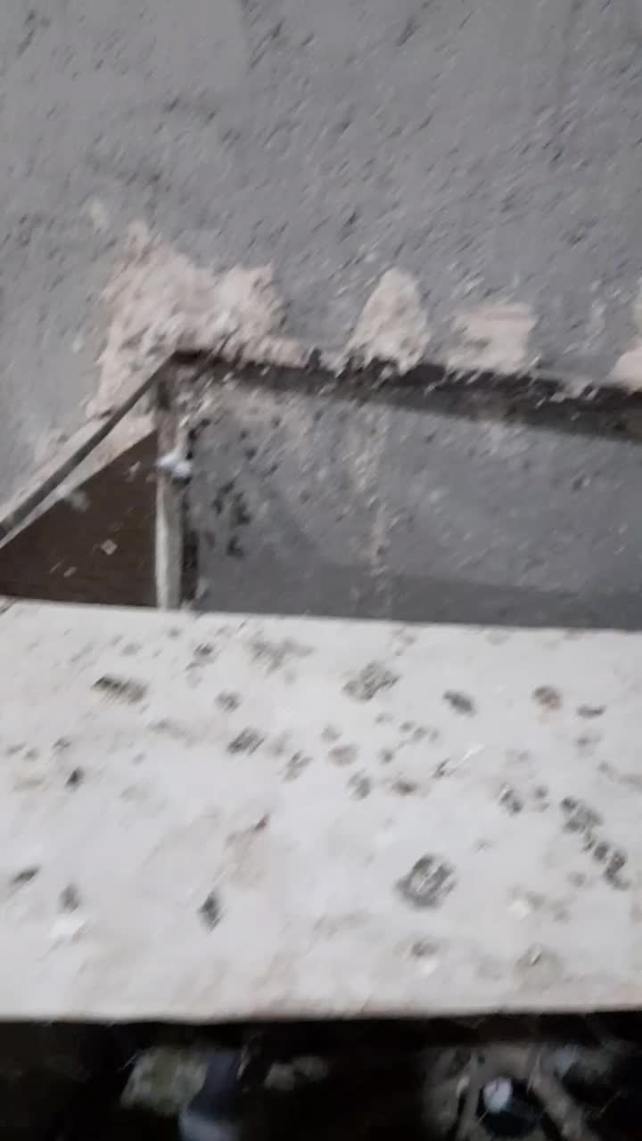 پلاکی خوب|پرنده|تبریز, |دیوار