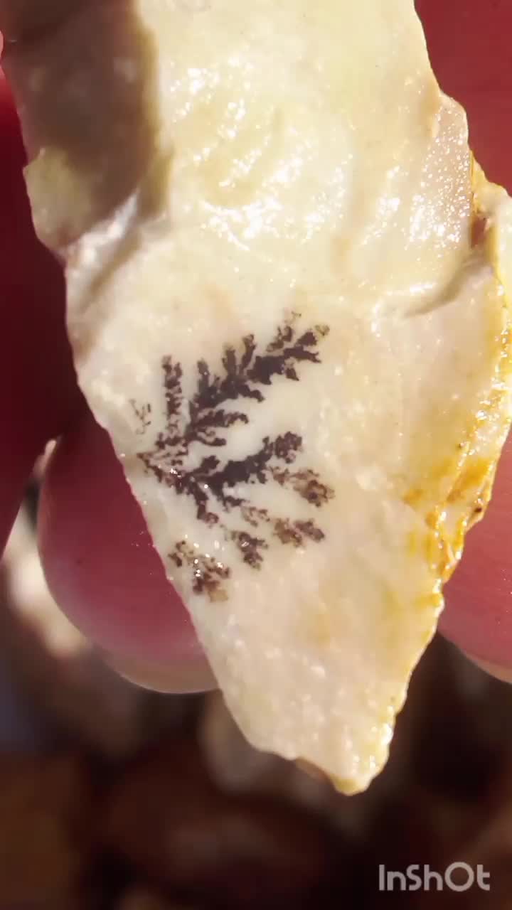 عقیق شجر جاسپر|جواهرات|اردبیل, |دیوار