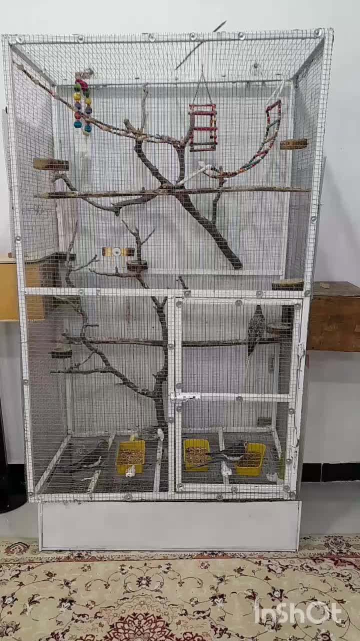 عروسکهای زیبا|اسباببازی بچه|مریوان, |دیوار