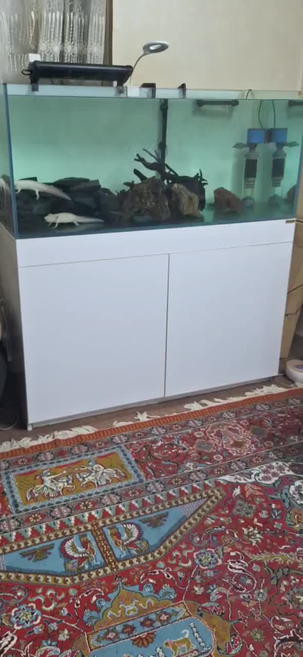آکواریوم ۵۰×۵۰×۱۲۰ و پایه سالم،همراه فیلتر سطلی|ماهی|تهران, سیزده آبان|دیوار