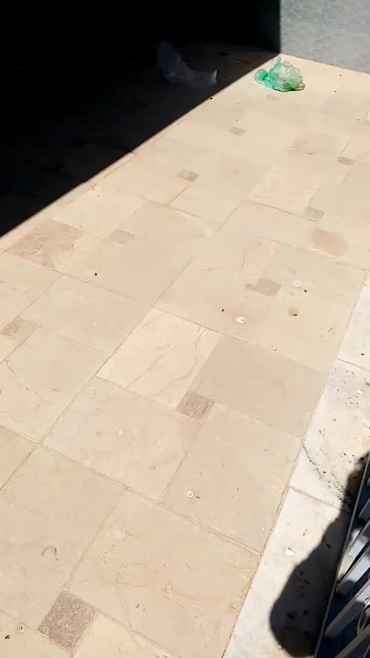 دامداری ۱۵۰۱متری قز،وین|اجارهٔ دفتر صنعتی، کشاورزی، تجاری|هشتگرد, شهرک پارسیان|دیوار