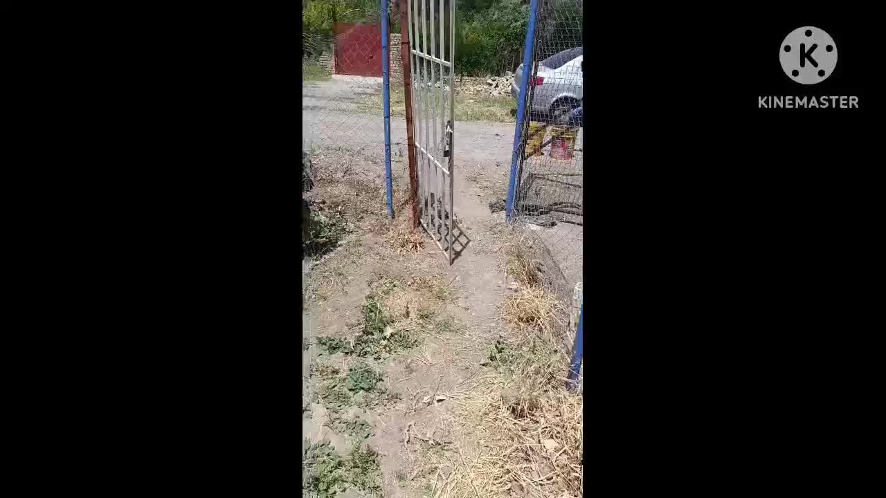 فروش باغ  ۷۵۰ متری در روستای خوش آب و هوا دیزیجان|فروش زمین و ملک کلنگی|قم, انسجام|دیوار