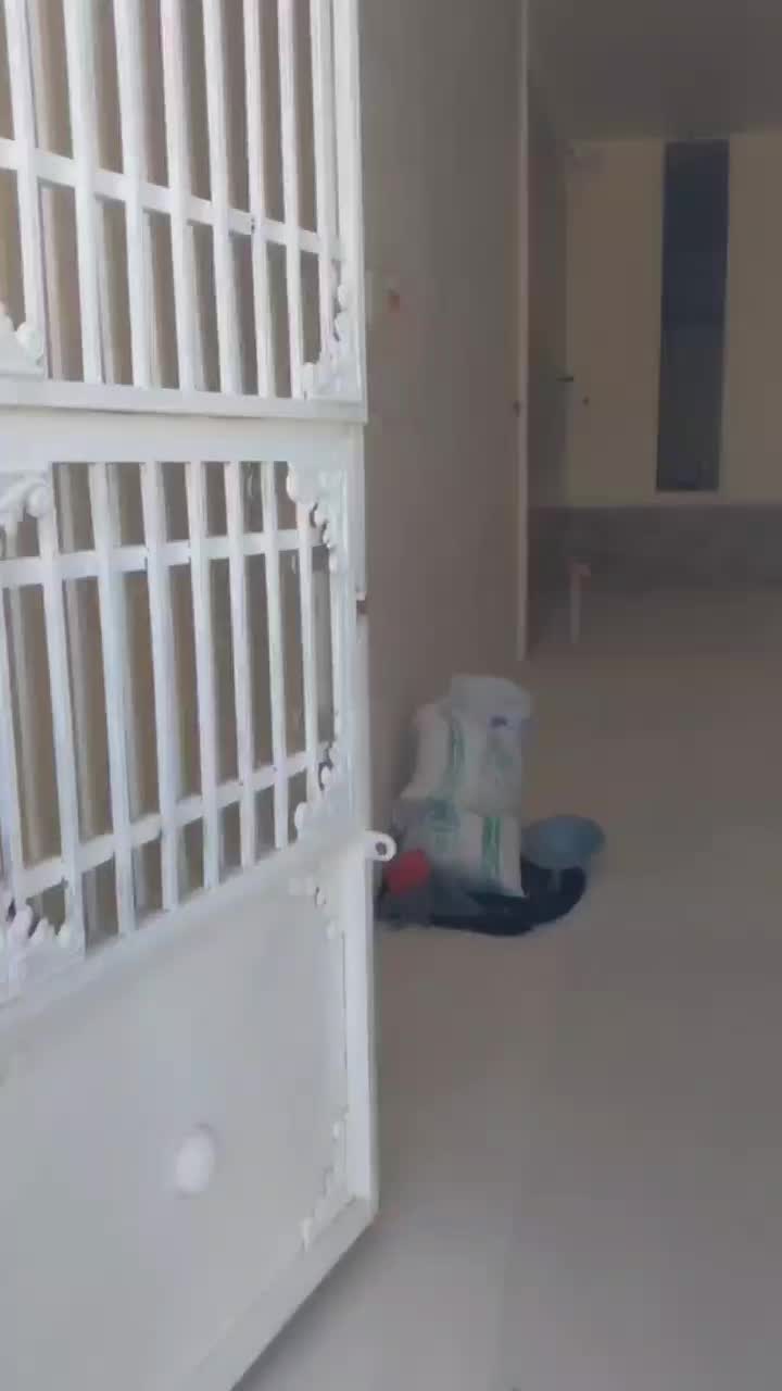 خانه تازه ساخت ۱۰۰ متری در تپه سلام یک میلیارد|فروش خانه و ویلا|رضویه, |دیوار