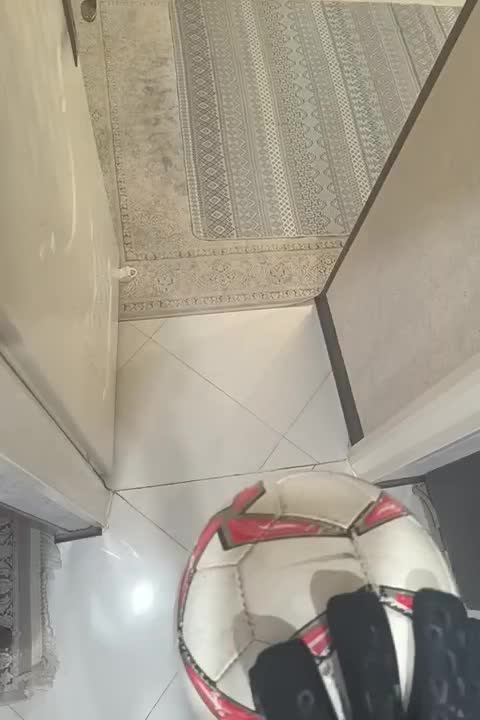 دستکش  پردیتور مشکی|ورزش‌های توپی|تهران, والفجر (افسریه)|دیوار