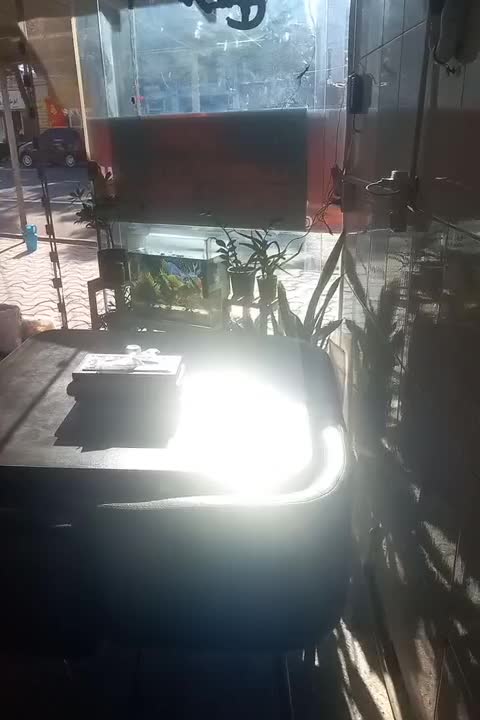 ساندویچ لقمه پیچ|فروشگاه و مغازه|قائن, |دیوار