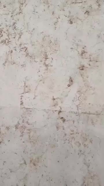 کابینت ام دی اف|مصالح و تجهیزات ساختمان|تنکابن, |دیوار