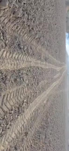 اجاره زمین کشاورزی آماده به کار|اجارهٔ دفتر صنعتی، کشاورزی، تجاری|تخت, |دیوار