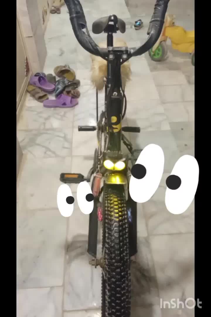 دوچرخه 20 به فروش|دوچرخه، اسکیت، اسکوتر|سراوان, |دیوار