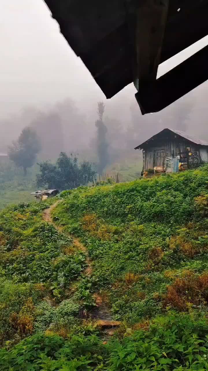 تور گیلان تا قلعه رود خان|تور و چارتر|مشهد, احمدآباد|دیوار