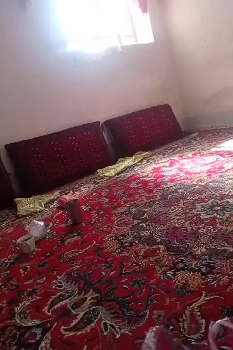 چندتا پشتی و دوتا قالیچه دست باف|فرش|زاهدان, |دیوار