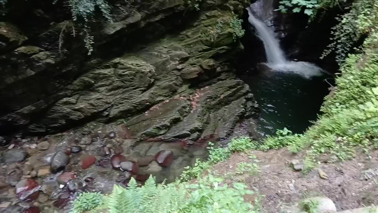 لنگرود  اطاقور سوئیت. حیاط دار ویو ابدی جای امن|اجارهٔ خانه و ویلا|لنگرود, |دیوار