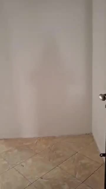 فروش واحد یکخواب شخصی ساز،صدرا فاز یک|فروش آپارتمان|صدرا-فارس, فاز ۱|دیوار