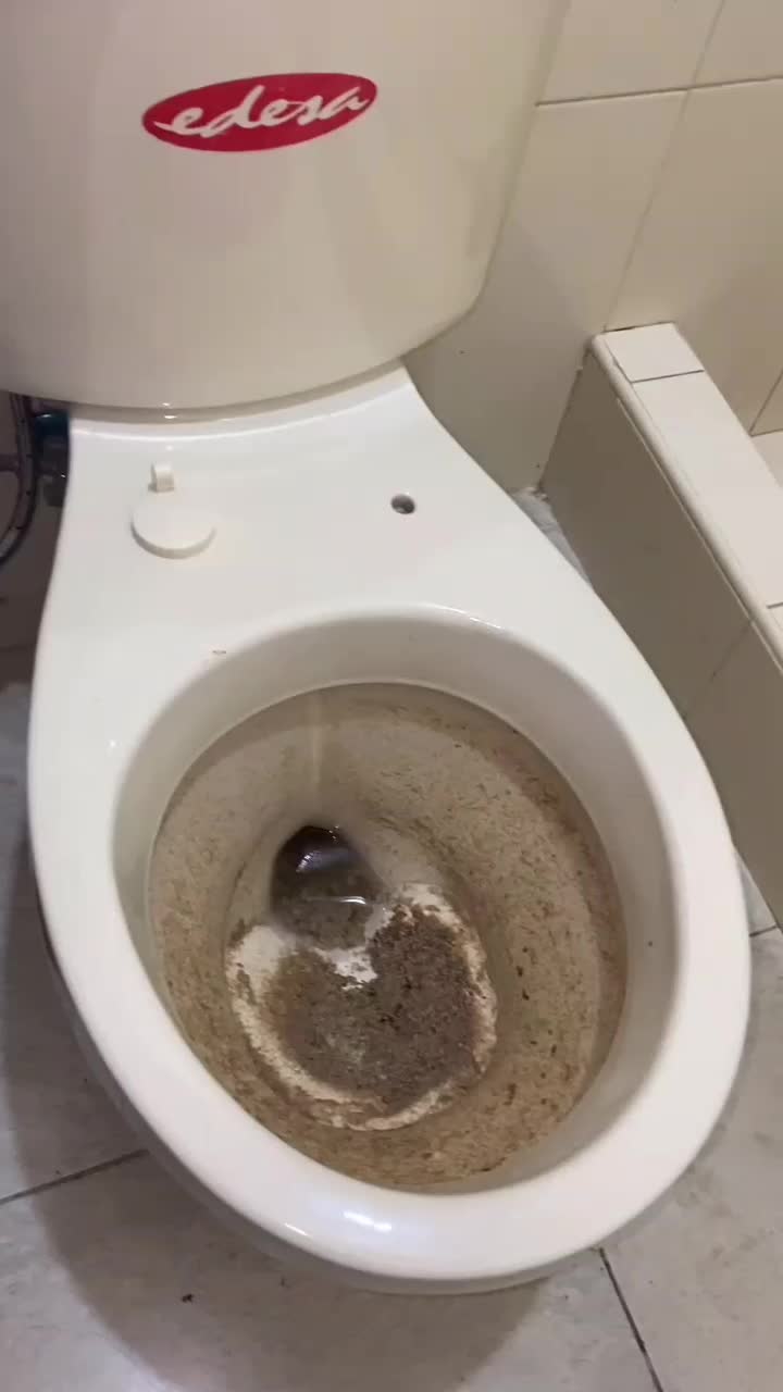 لوله بازکنی باجک انقلاب آذر شهرقائم جمکران قنوات|خدمات پیشه و مهارت|قم, سراجه (۱۵ خرداد)|دیوار