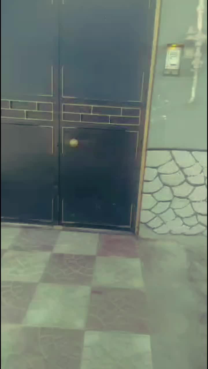 ریموتی کردن انواع  آیفون های صوتی و تصویری|خدمات پیشه و مهارت|نی‌ریز, |دیوار