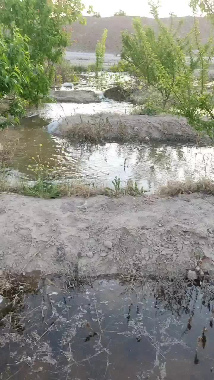 زمین باغ|فروش زمین و ملک کلنگی|رباط‌کریم, کاظم‌آباد|دیوار