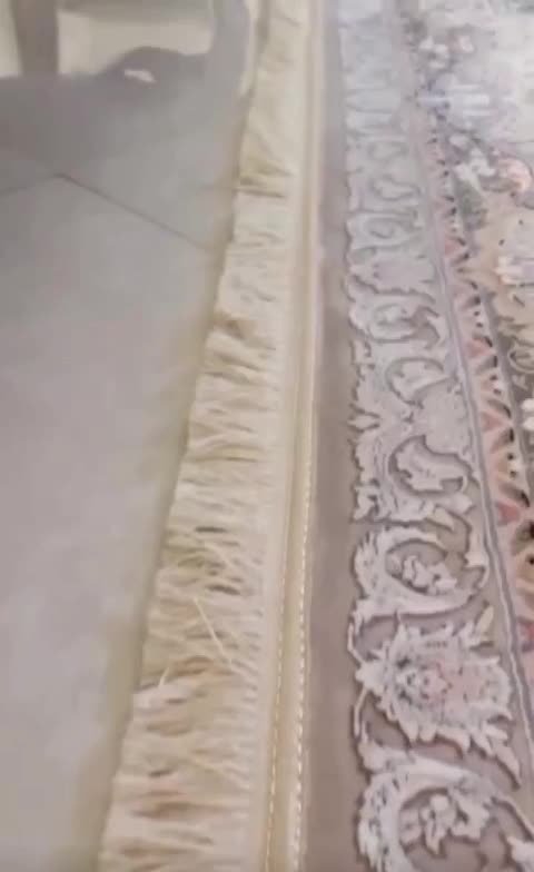 محافظ ریشه فرش|فرش|سنقر, |دیوار